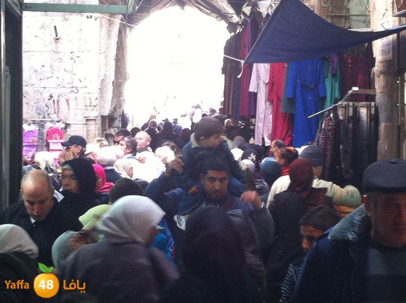 yaffa byareq 0114 (8).jpg